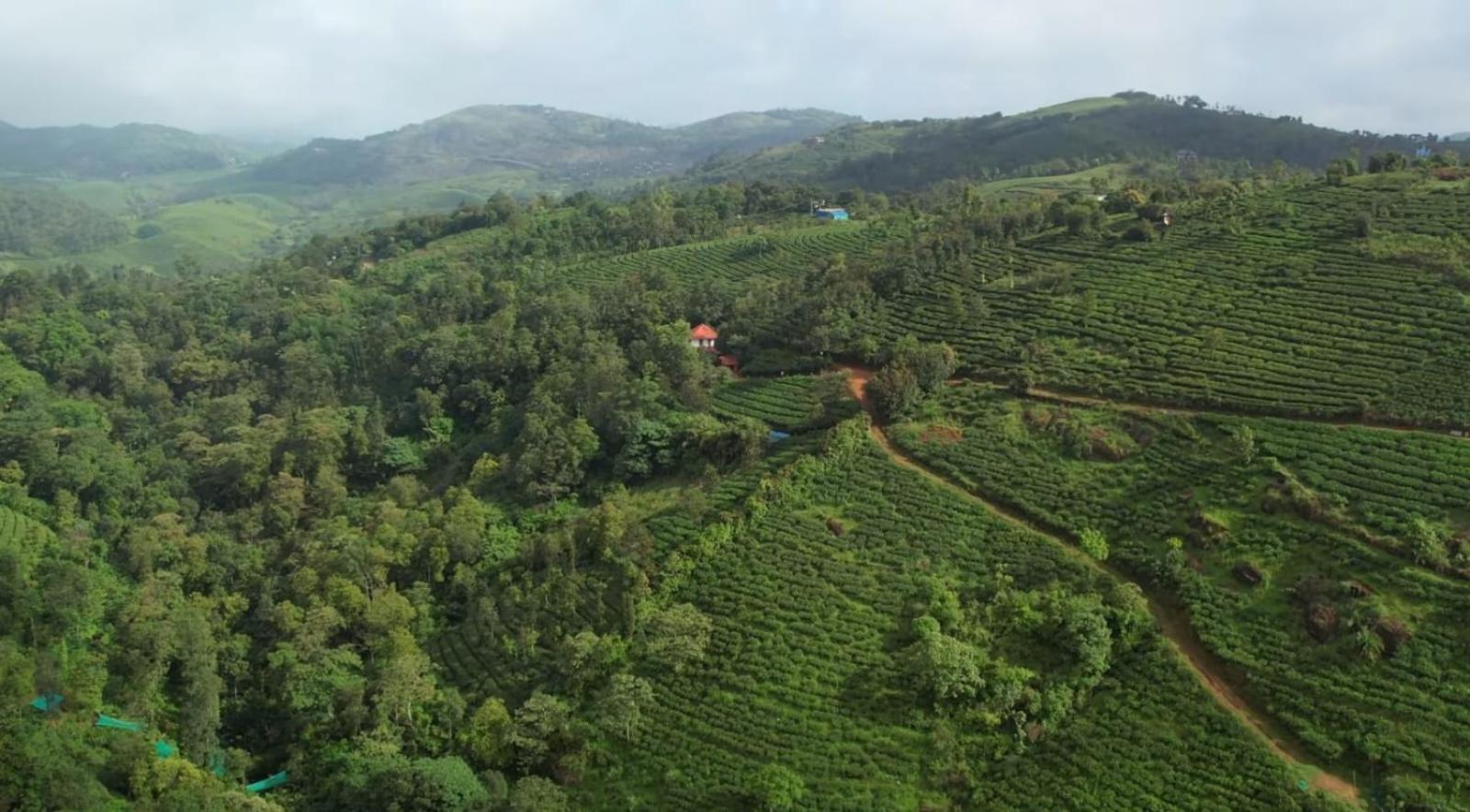 Tea Haven By Yathroam Casa de hóspedes Vagamon Exterior foto